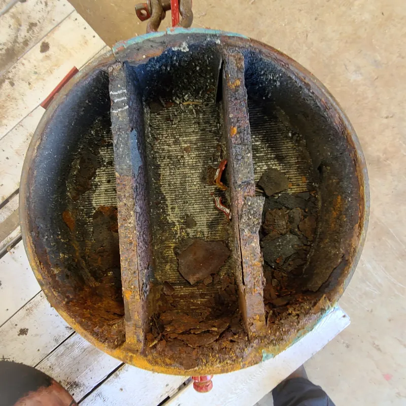 Arrestor example 4 Before Cleaning